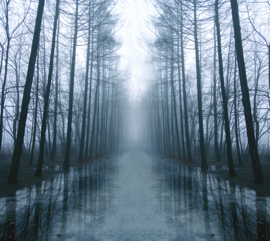 Работа 3151566