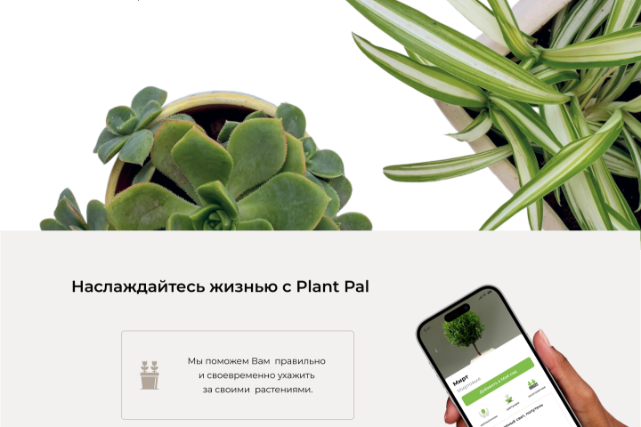 Мобильное приложение по уходу за растениями