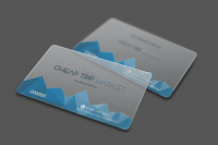 Клубная карта Чип Трип