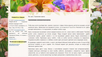 Карликовые, низкорослые ирисы
