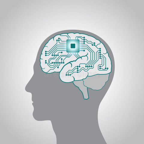 Психосоматика: Влияние психики на здоровье, и применение ее в сф