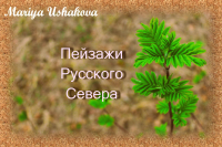 Открытки из моих фотографий