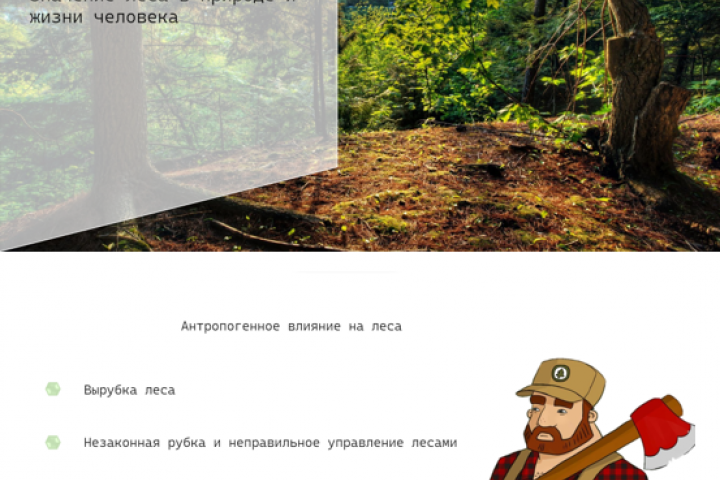 Презентация на тему "Значение леса в природе и жизни человека"