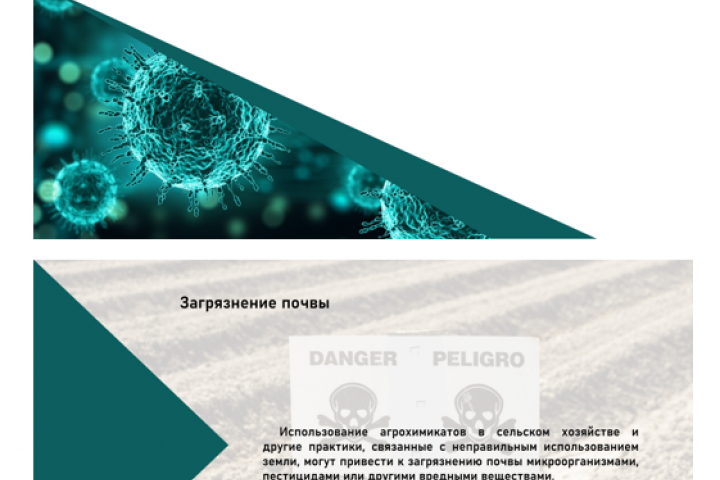 Презентация "Биологические загрязнения"