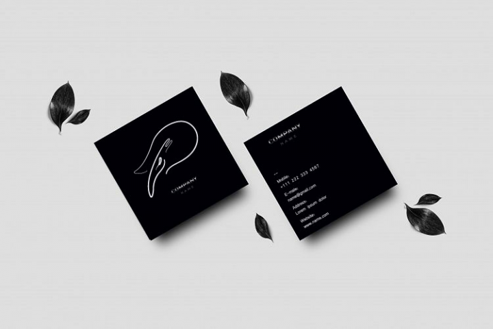 Logotype - Willy Fox