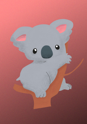 Коала иллюстрация