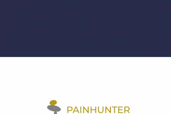 Логотип для компании Painhunter