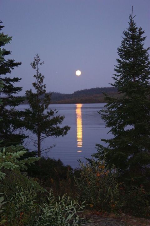 pic4546024.jpg