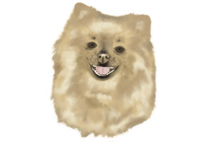 Арт собаки