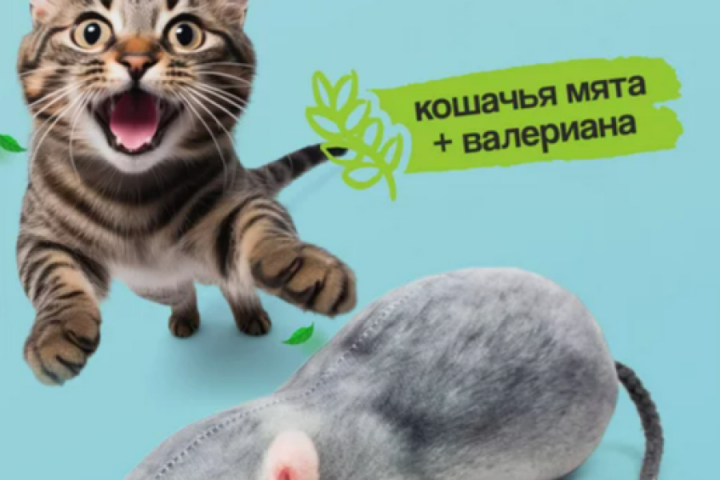 Инфографика для маркетплейса