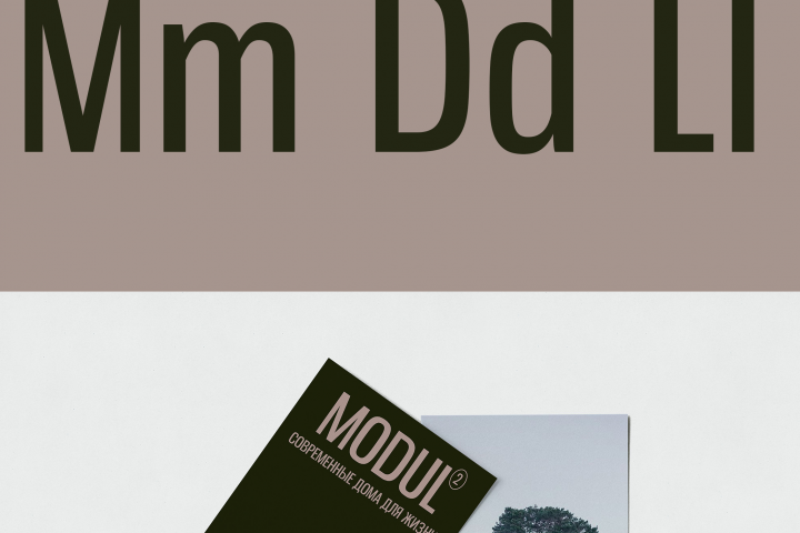 MODUL2 Модульные дома