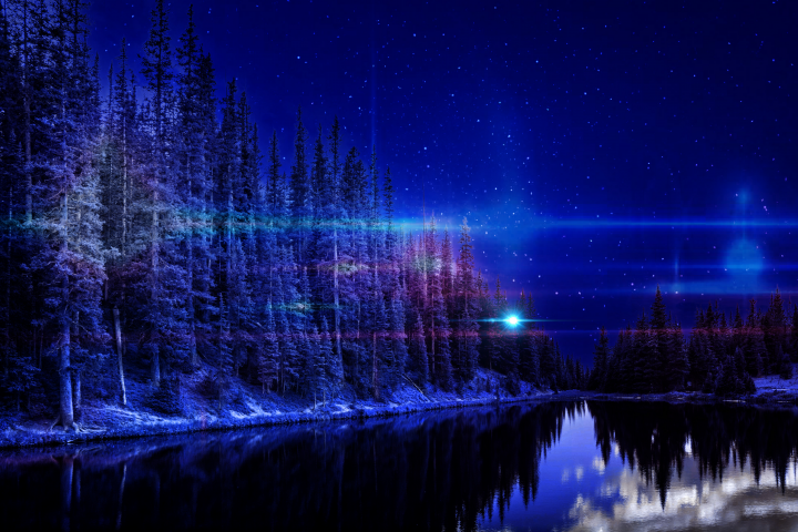 Ночной зимний лес!