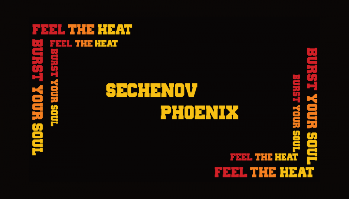 Визитка Sechenov Phoenix лицевая