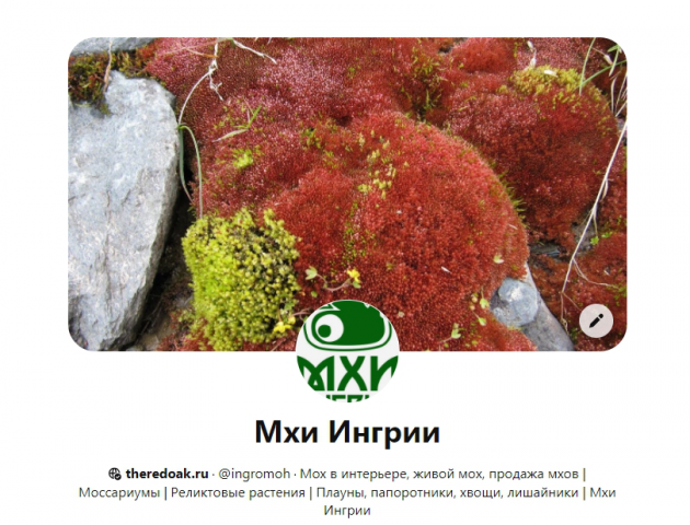 Пинтерест Бизнес-аккаунт проекта "Мхи Ингрии"