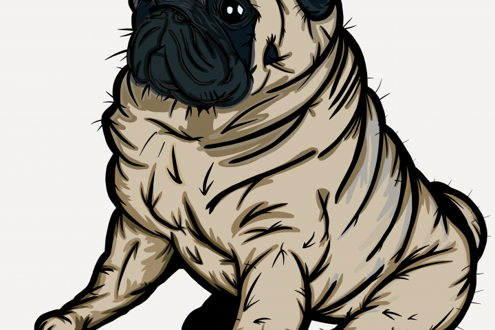 Дизайн для футболок