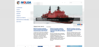 Molga Consulting