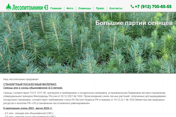 лесопитомник43.рф