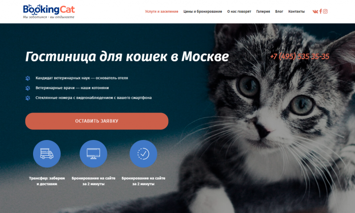 Гостиница для кошек в Москве