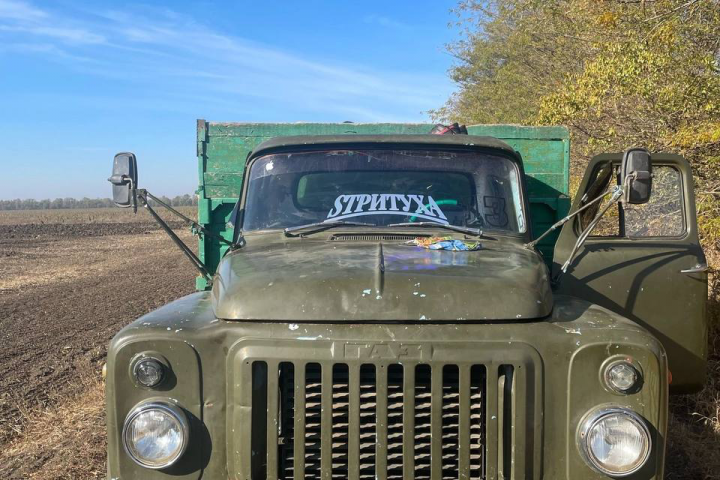 Текст