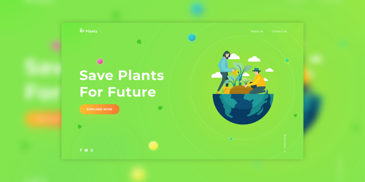 Support for plants
