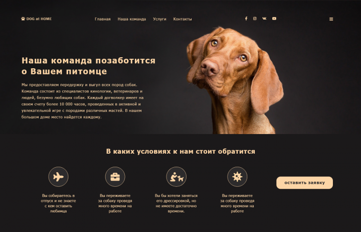 Передержка собак