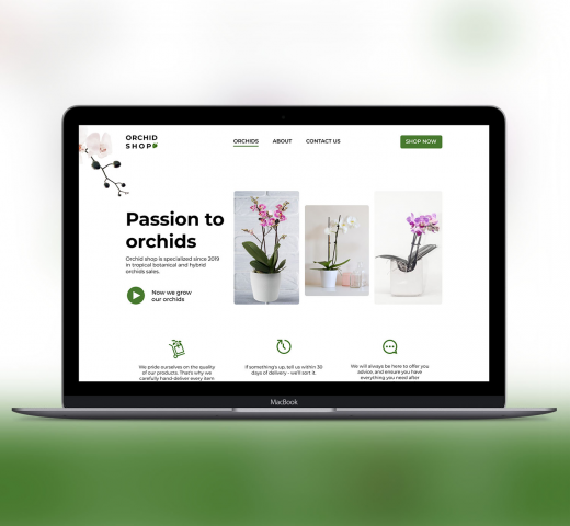 Интернет-магазин орхидей