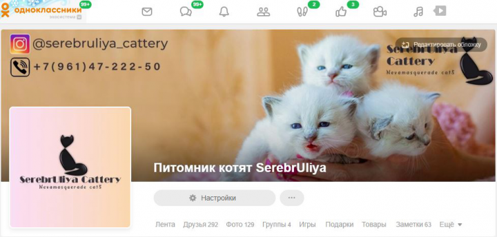 Оформление OK(Одноклассники) для SerebrUliya Cattery