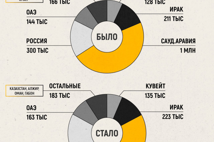 Инфографика