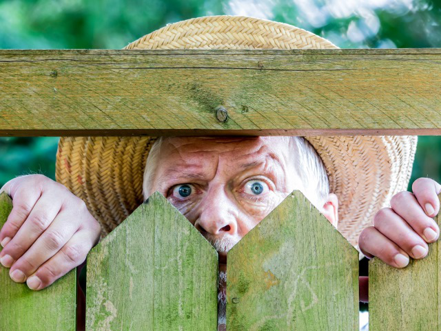 Как закрыться от соседей по даче