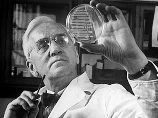 Изобретатель антибиотиков