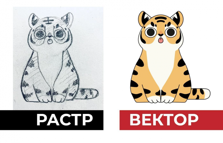 Вектор