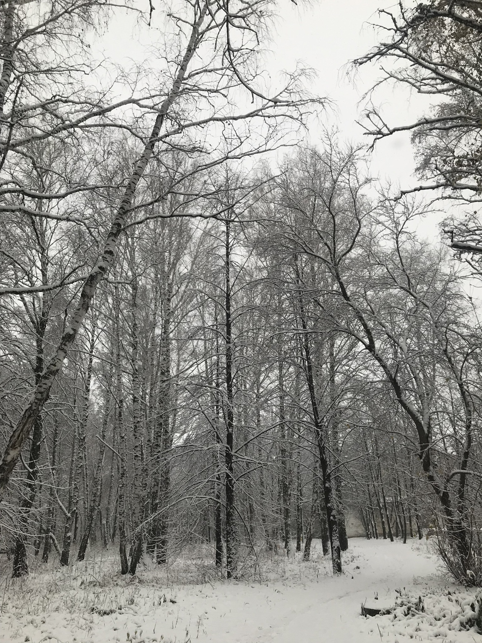 pic4533888.jpg