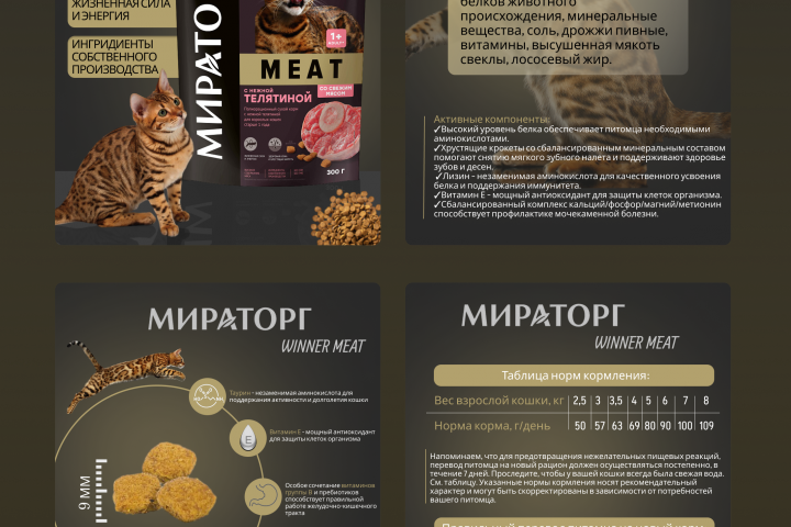 Инфографика
