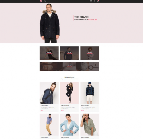 Мой первый интернет магазин