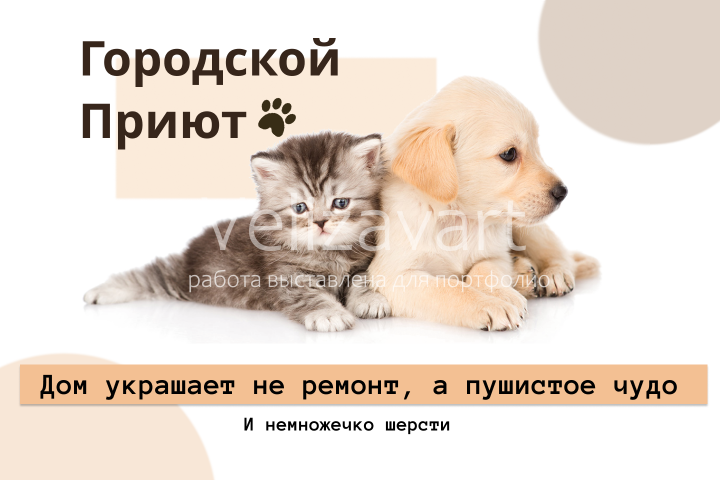 Баннер городского приюта