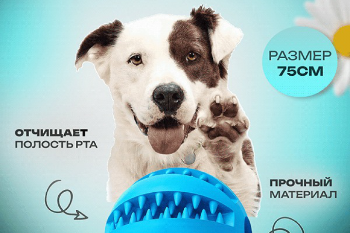 Инфографика