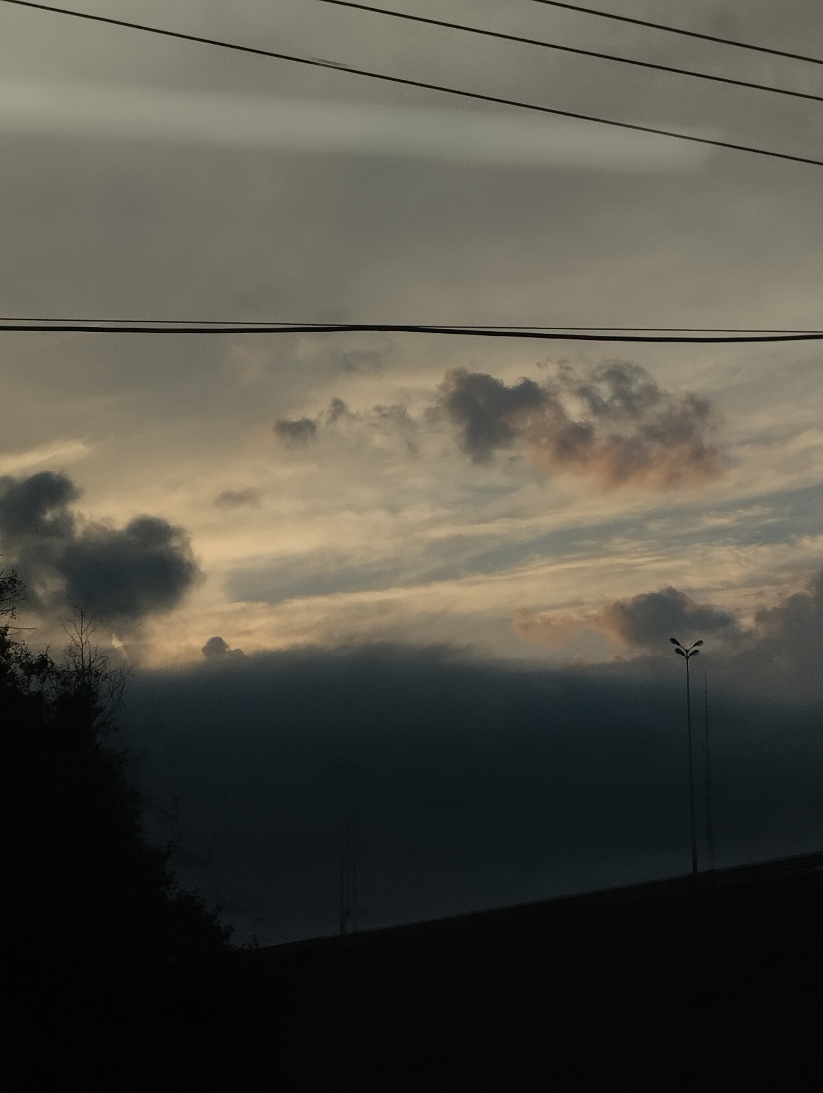 pic4531827.jpg