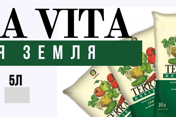 Макет  баннера на люверсах