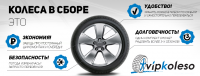 VipKoleso Инфографика