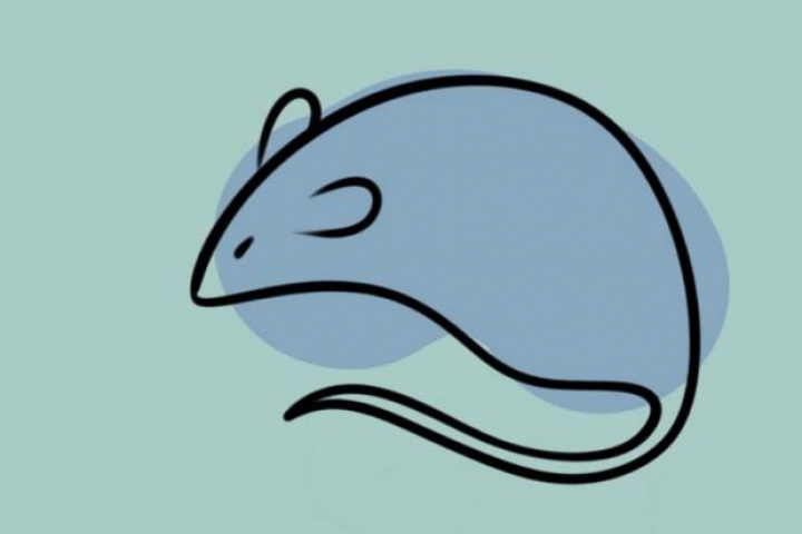 Рисунок в Procreate