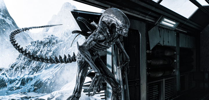 Xenomorph