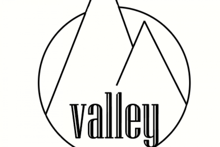 Логотип Valley