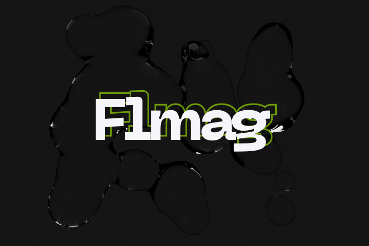 Flmag - Разработка формы для входа на площадку