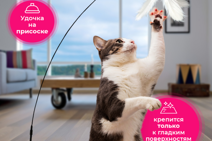 Инфографика - "Игрушка для кошек"