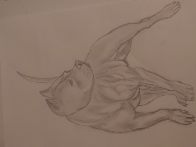 "Стаффорд"