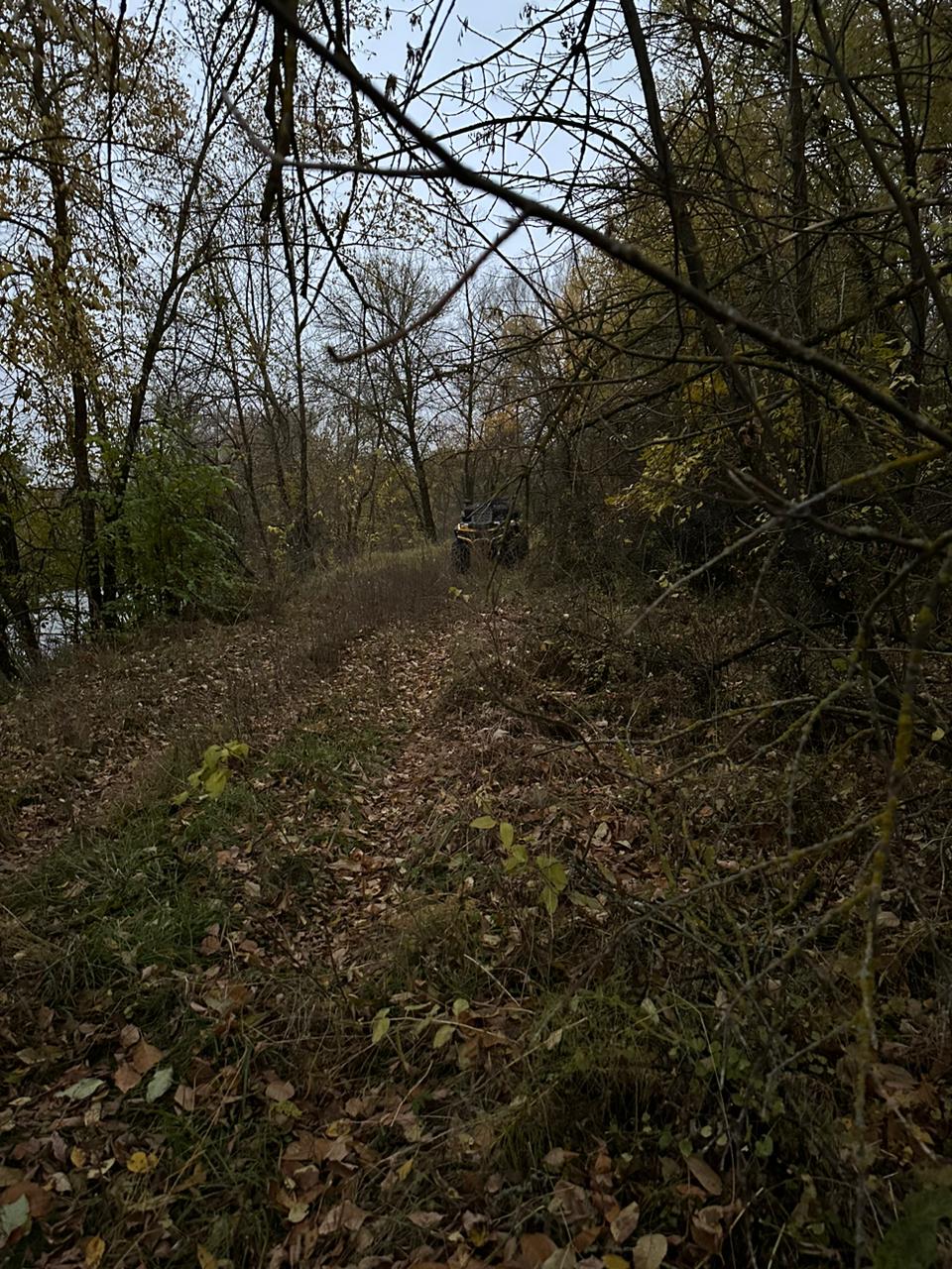pic4525002.jpg
