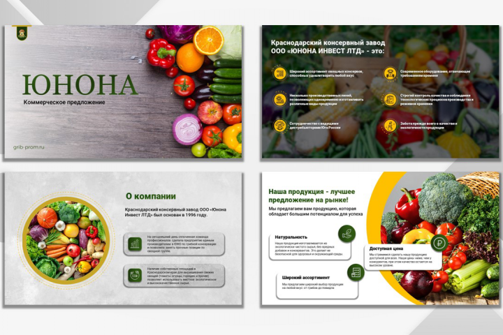 Презентация для ООО «ЮНОНА ИНВЕСТ ЛТД»