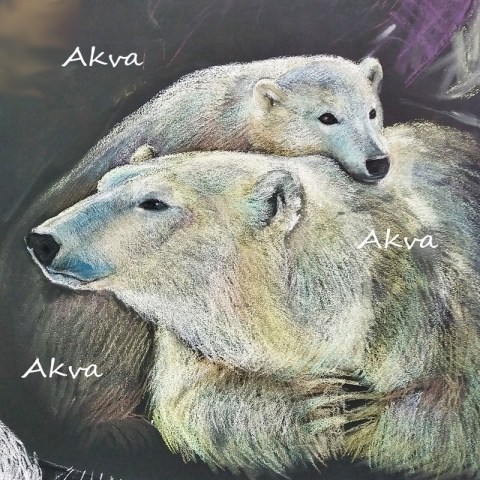 Мелом на стене