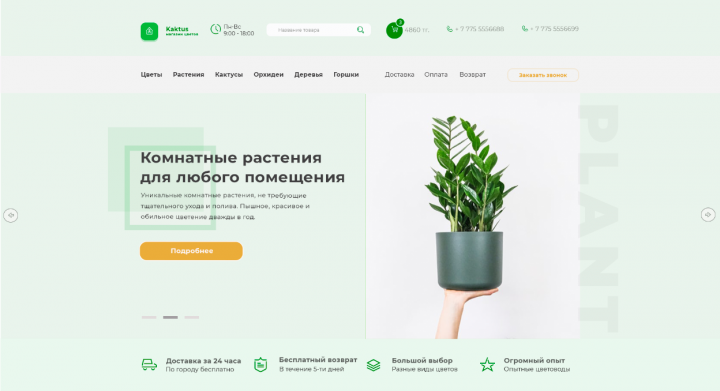 Интернет магазин комнатных цветов Kaktus