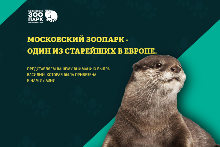 Баннер Московского зоопарка